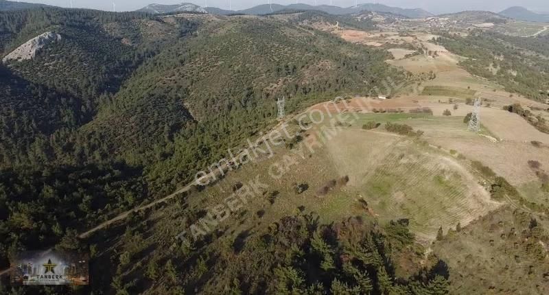 Tanberk Den Satılık Tarla 8.336 M2 Kınık Mustaklar - Görsel 2