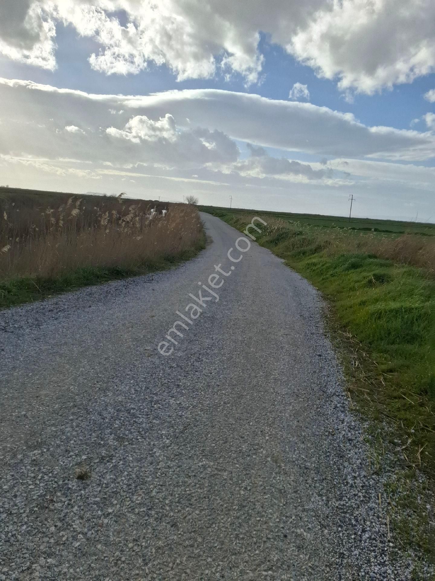 Foça Yeni Bağarasında 1350 M2 Bahçe Acil Satiliktir - Görsel 17