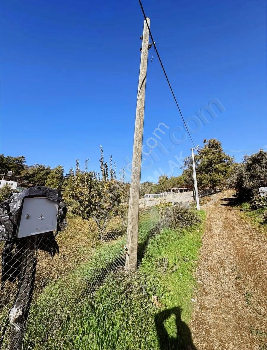 Kargıda Fırsat Müstakil Tek Tapu 420 Metre Tarla - Görsel 16