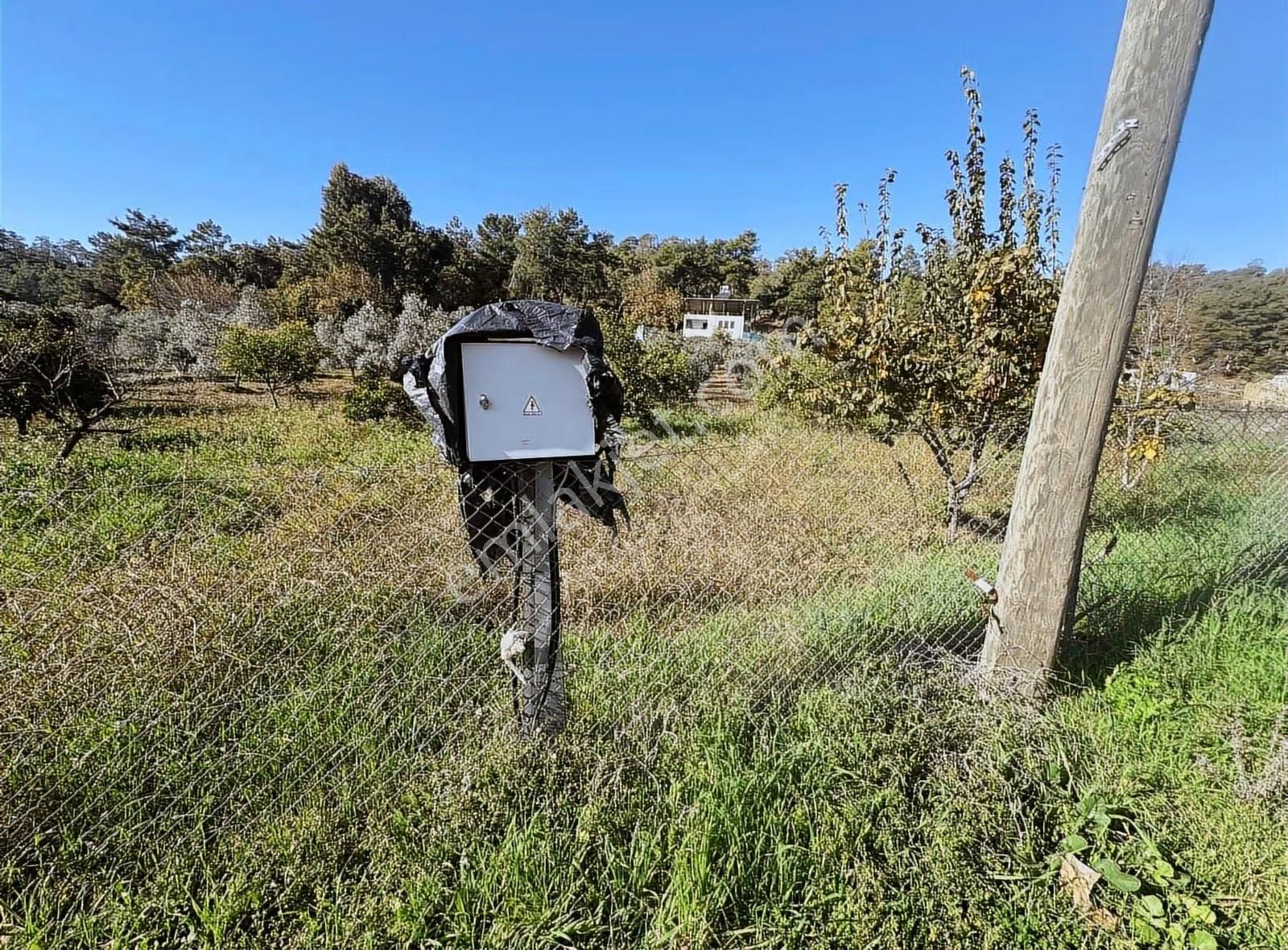 Kargıda Fırsat Müstakil Tek Tapu 420 Metre Tarla - Görsel 32