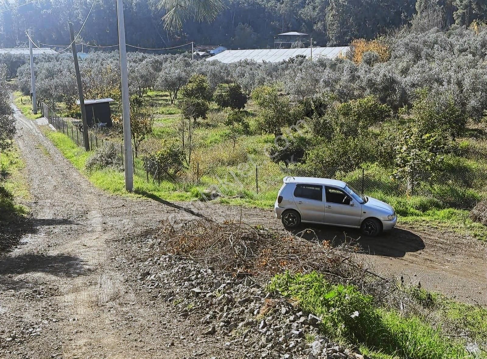 Kargıda Fırsat Müstakil Tek Tapu 420 Metre Tarla - Görsel 22