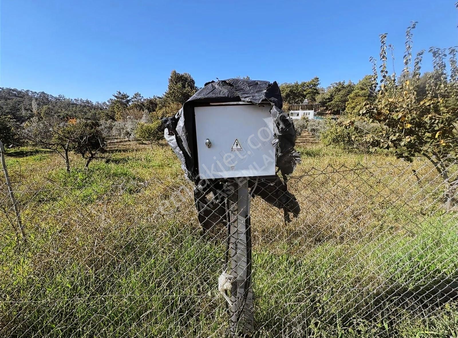 Kargıda Fırsat Müstakil Tek Tapu 420 Metre Tarla - Görsel 29