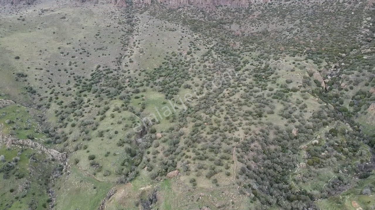 Çanakkale Babakale'de | 33 Dönüm Deniz Manzaralı Zeytinlik - Görsel 4