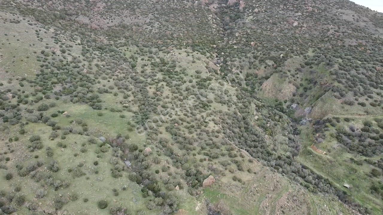 Çanakkale Babakale'de | 33 Dönüm Deniz Manzaralı Zeytinlik - Görsel 6