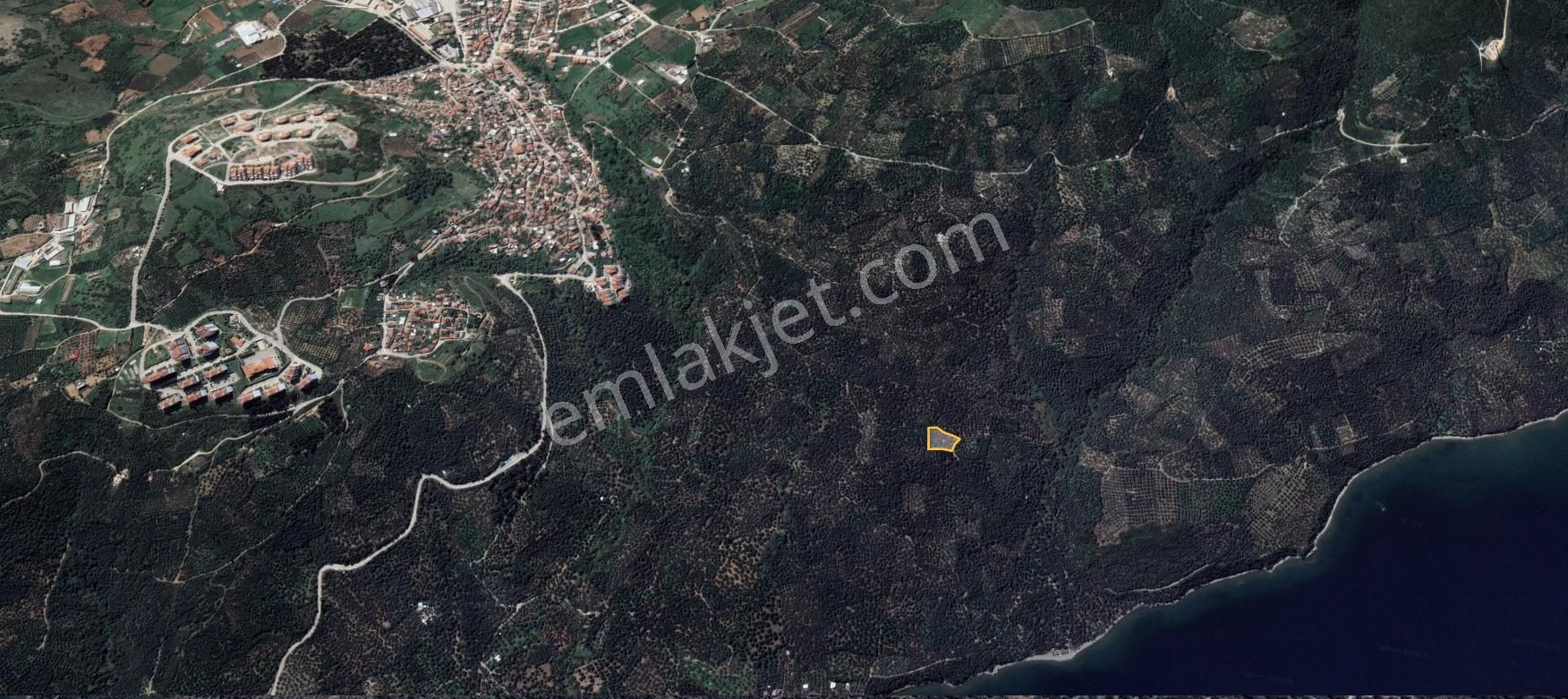 🟨⬛lıon Emlak'tan Edincik'te Merkeze Ve Denize Yakın Satılık Zeytinlik⬛🟨 - Görsel 8