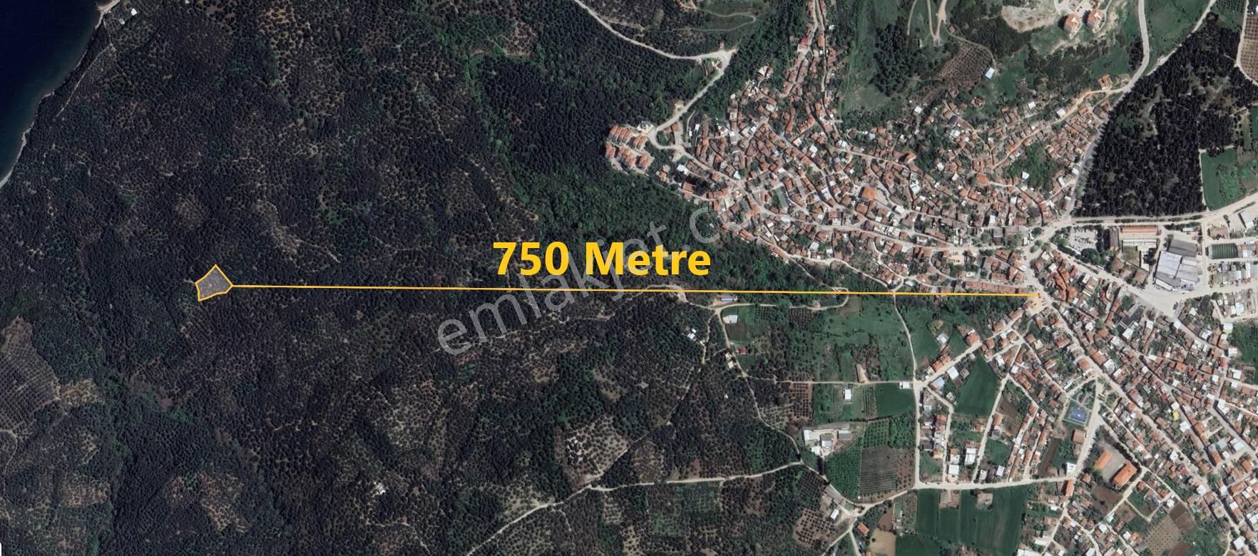 🟨⬛lıon Emlak'tan Edincik'te Merkeze Ve Denize Yakın Satılık Zeytinlik⬛🟨 - Görsel 2