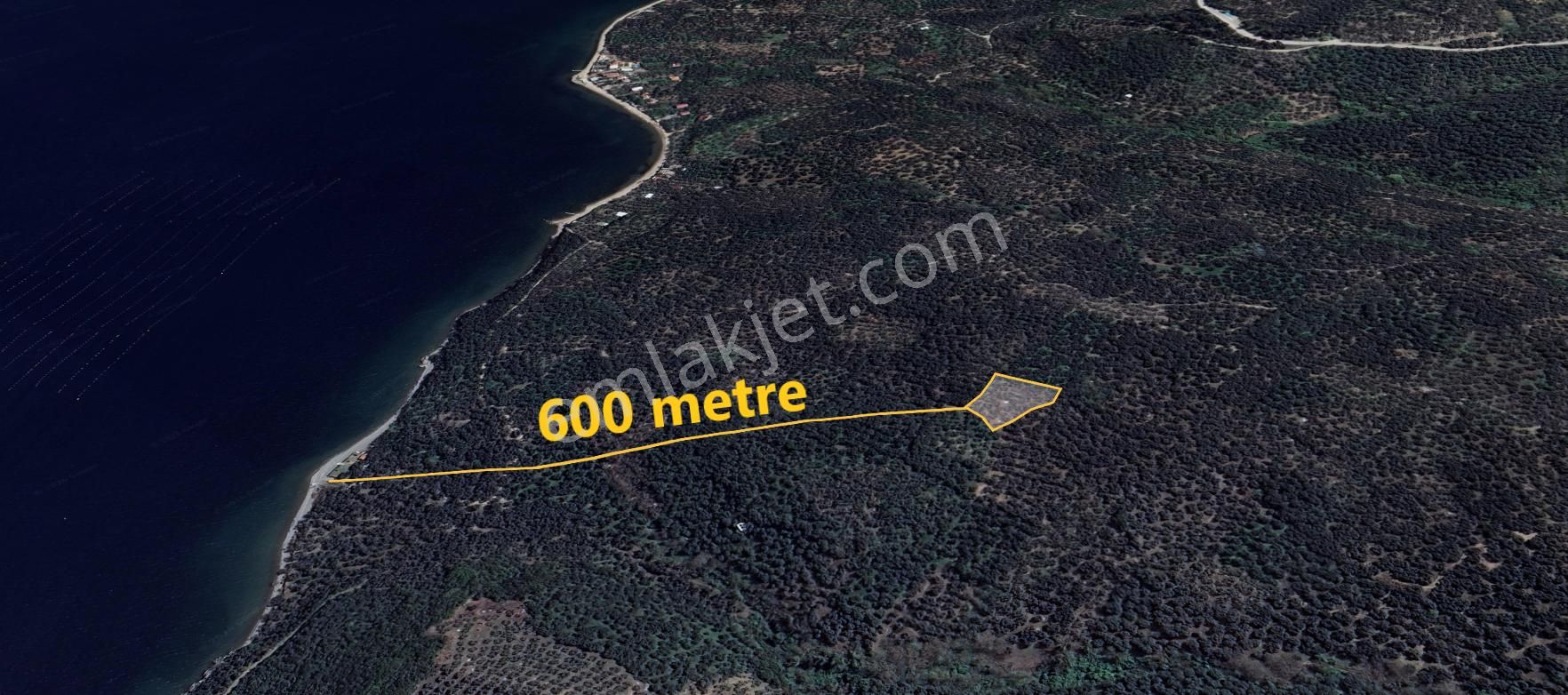 🟨⬛lıon Emlak'tan Edincik'te Merkeze Ve Denize Yakın Satılık Zeytinlik⬛🟨 - Görsel 3