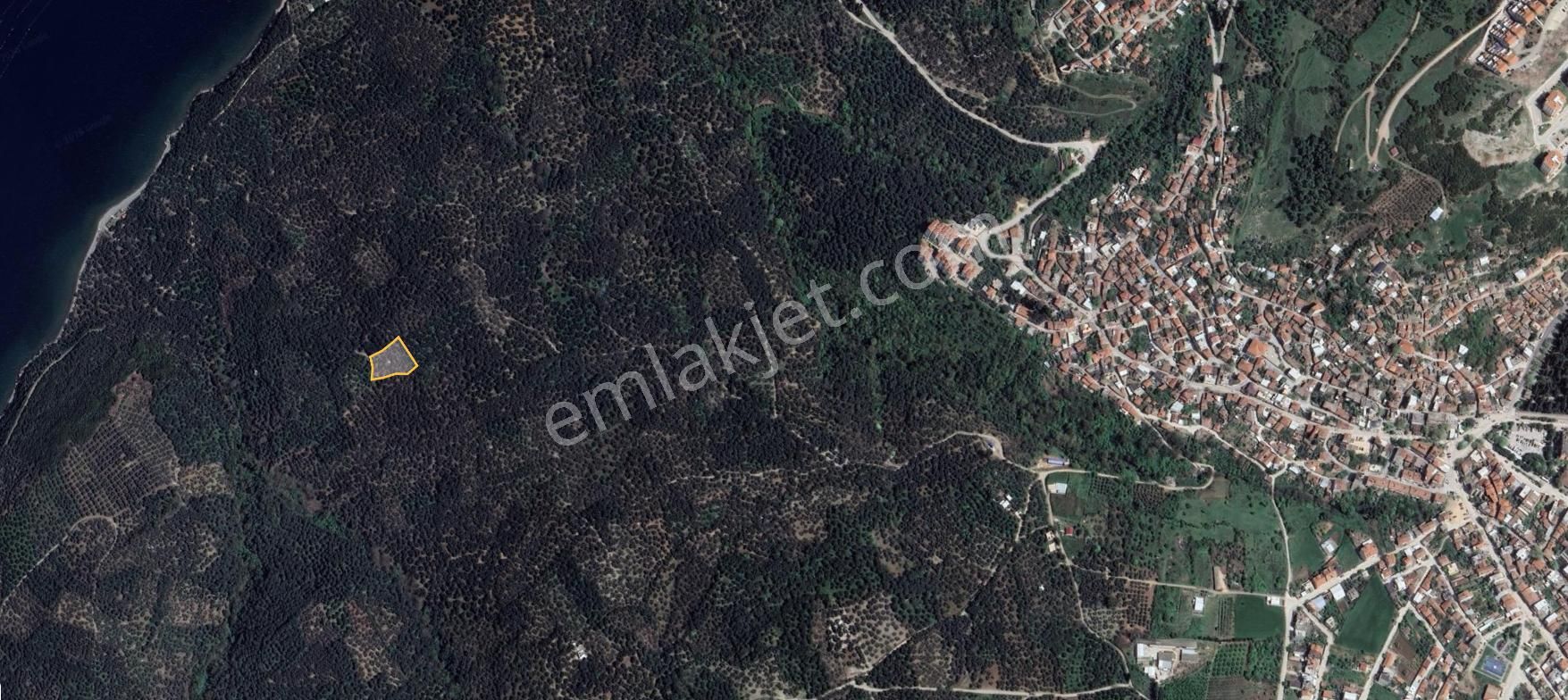 🟨⬛lıon Emlak'tan Edincik'te Merkeze Ve Denize Yakın Satılık Zeytinlik⬛🟨 - Görsel 9