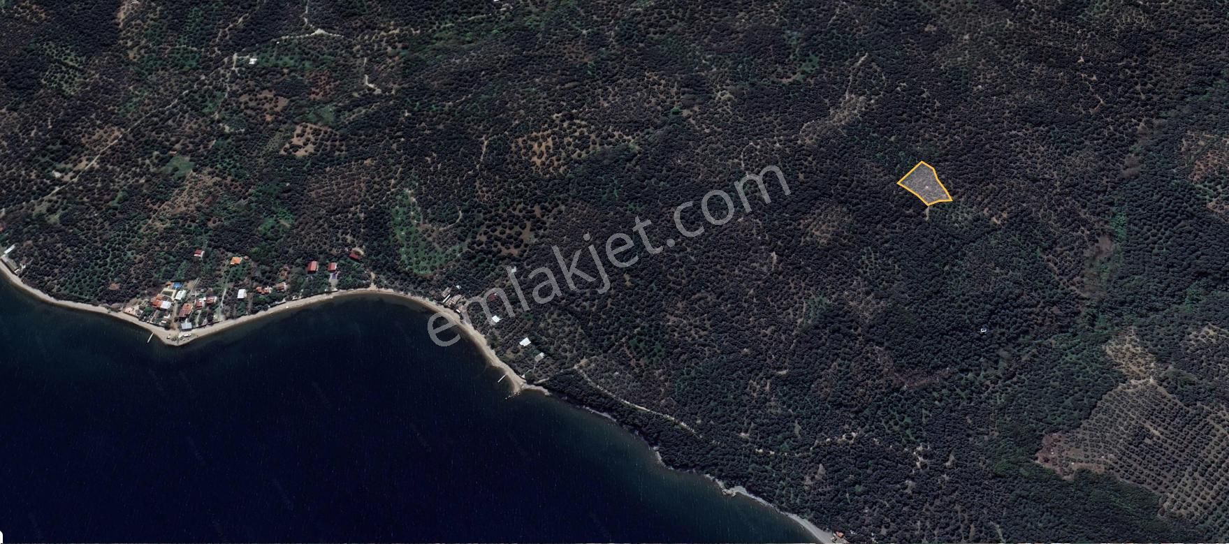 🟨⬛lıon Emlak'tan Edincik'te Merkeze Ve Denize Yakın Satılık Zeytinlik⬛🟨 - Görsel 10