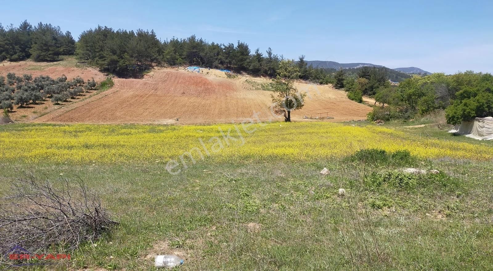 Er Yapı Emlak'tan Satılık Tarla - Görsel 6