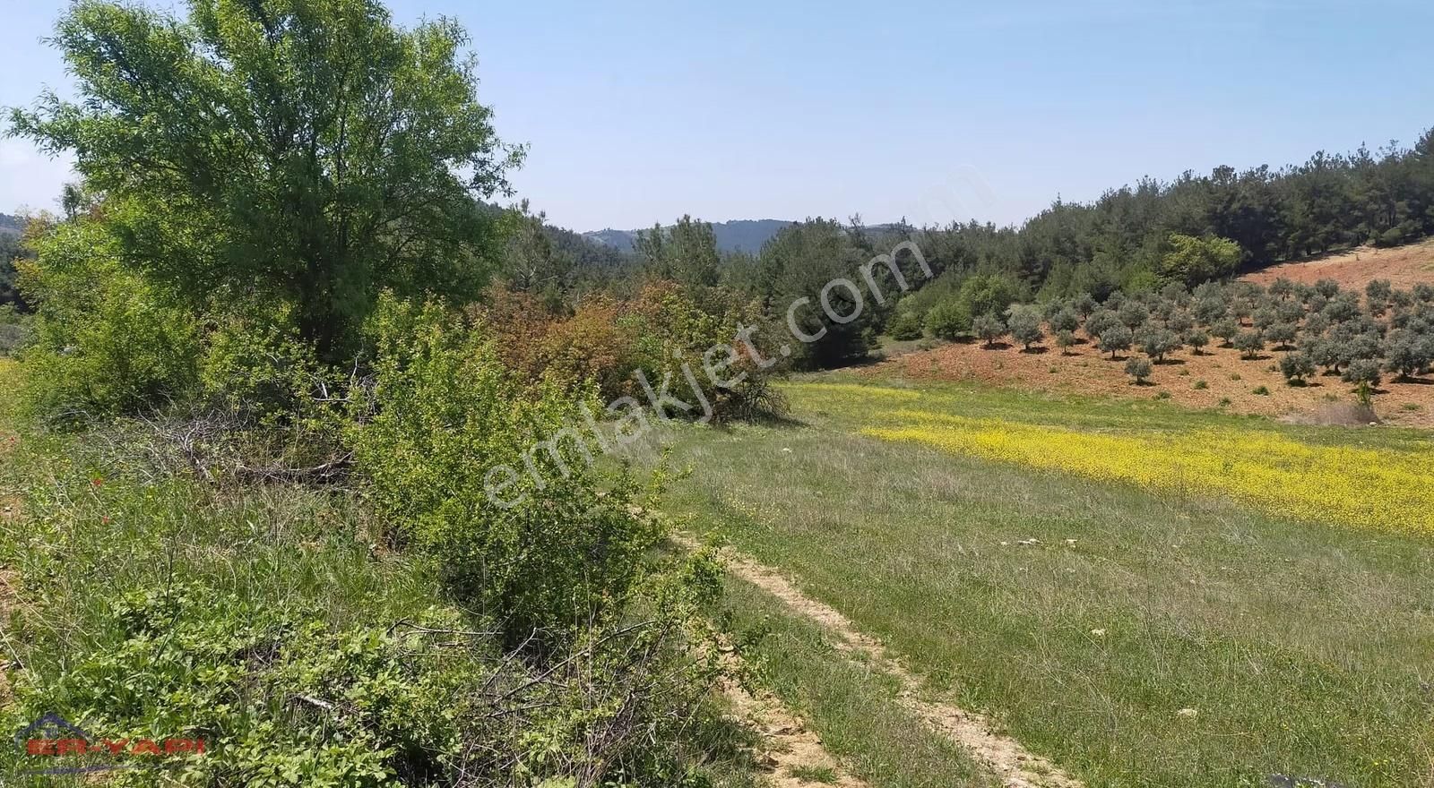 Er Yapı Emlak'tan Satılık Tarla - Görsel 4