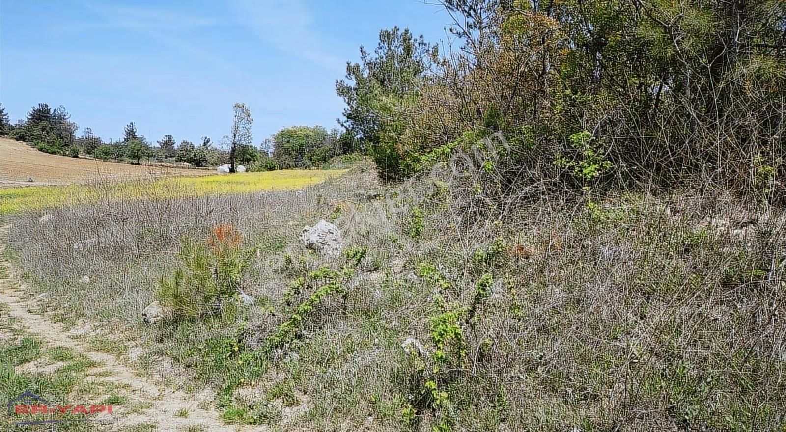 Er Yapı Emlak'tan Satılık Tarla - Görsel 2