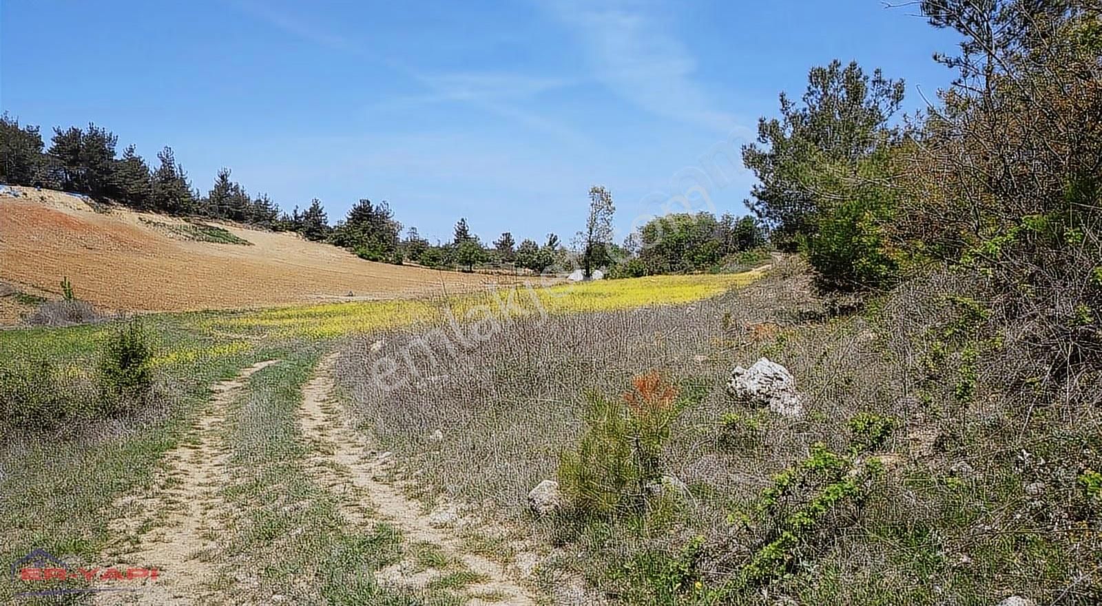 Er Yapı Emlak'tan Satılık Tarla - Görsel 3