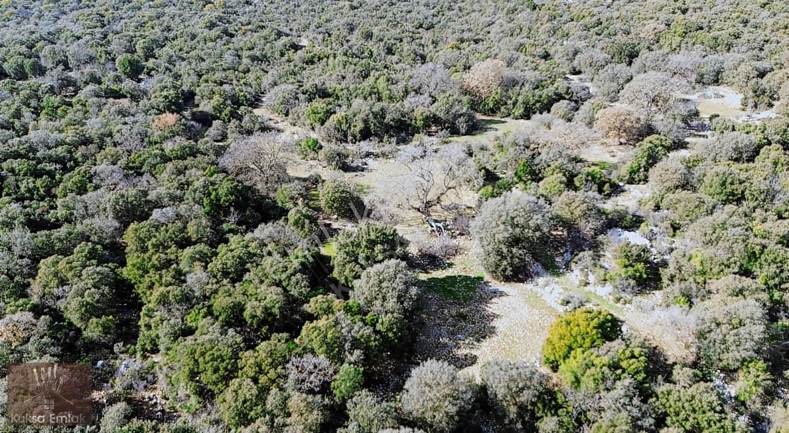 Kaş Pınarbaşı Mahallesinde 4090m2 Tarla