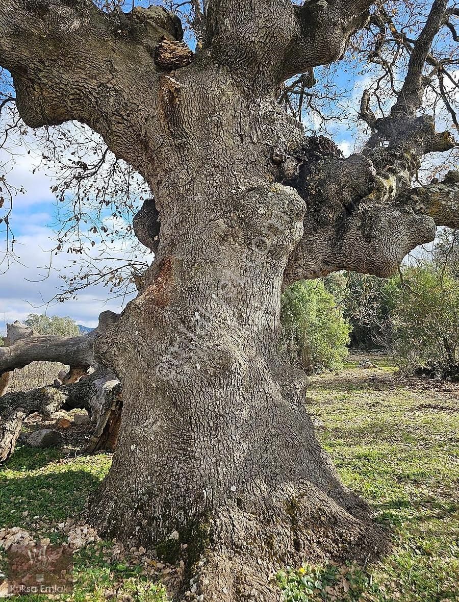 Kaş Pınarbaşı Mahallesinde 4090m2 Tarla - Görsel 6