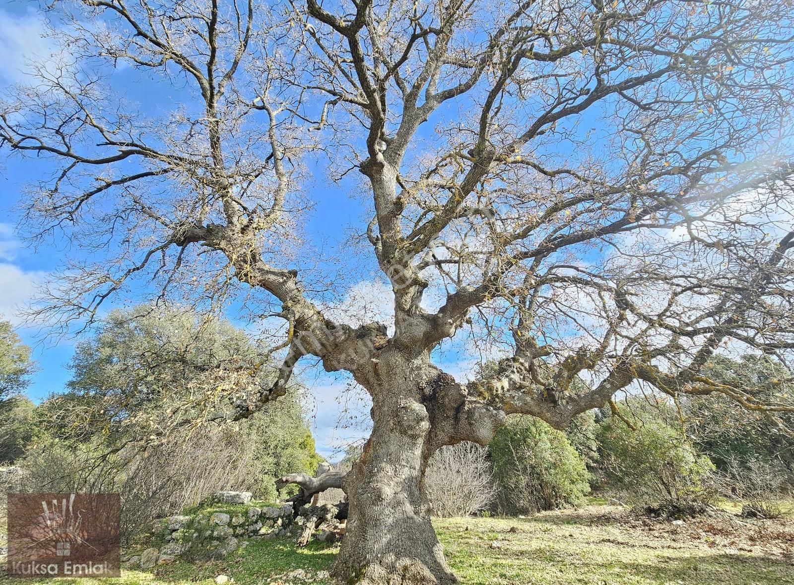 Kaş Pınarbaşı Mahallesinde 4090m2 Tarla - Görsel 8