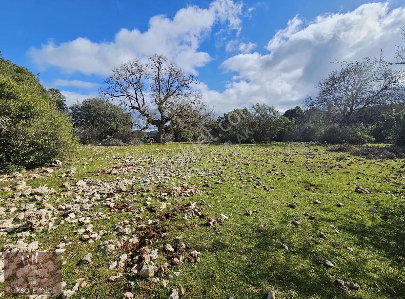 Kaş Pınarbaşı Mahallesinde 4090m2 Tarla - Görsel 4