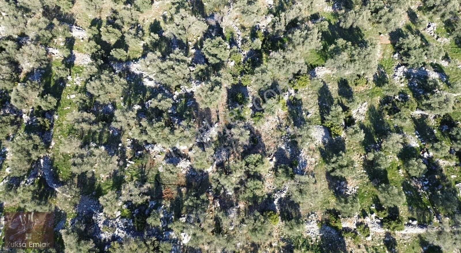 Kaş Kalkan Üzümlü Mevkinde Satılık 1571m2 Arazi