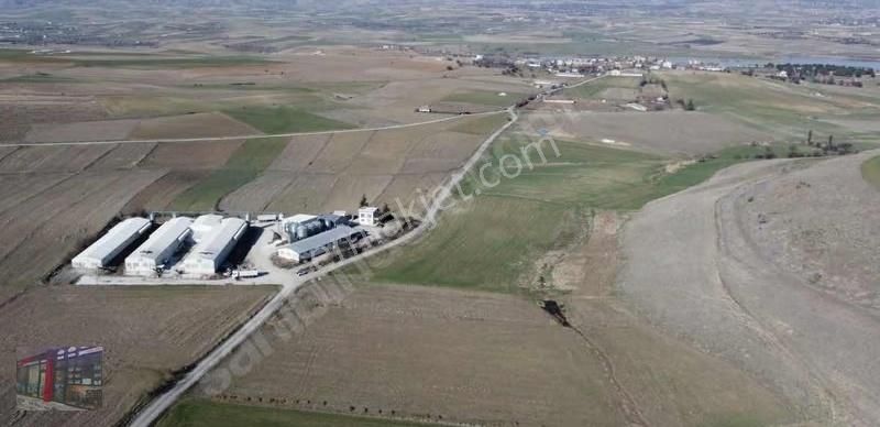 Emre Gm/den Harmantepe Sarıçubuk Yolunda Fırsat Yatırımlık Arazi - Görsel 6