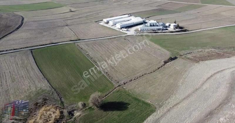 Emre Gm/den Harmantepe Sarıçubuk Yolunda Fırsat Yatırımlık Arazi - Görsel 7