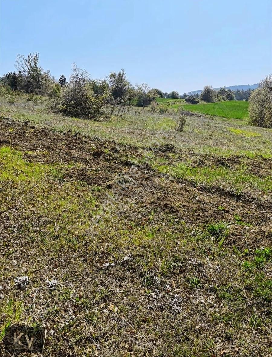 Kv Gayrimenkul'den Geyve Çay Mah. 35.798 M² Satılık Tarla - Görsel 7