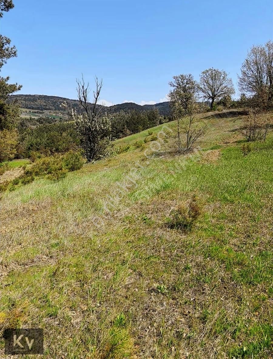 Kv Gayrimenkul'den Geyve Çay Mah. 35.798 M² Satılık Tarla - Görsel 11