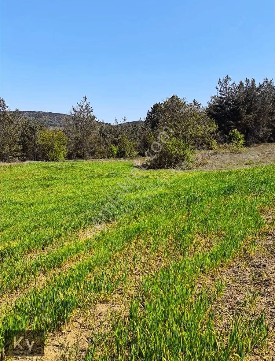 Kv Gayrimenkul'den Geyve Çay Mah. 35.798 M² Satılık Tarla - Görsel 5