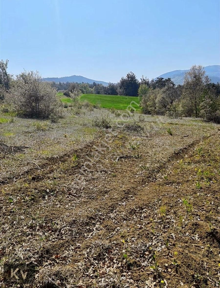 Kv Gayrimenkul'den Geyve Çay Mah. 35.798 M² Satılık Tarla - Görsel 2