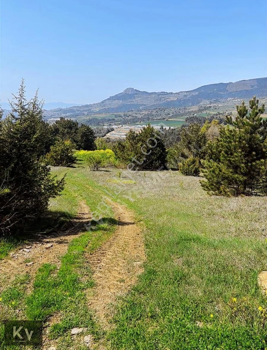 Kv Gayrimenkul'den Geyve Çay Mah. 35.798 M² Satılık Tarla - Görsel 6