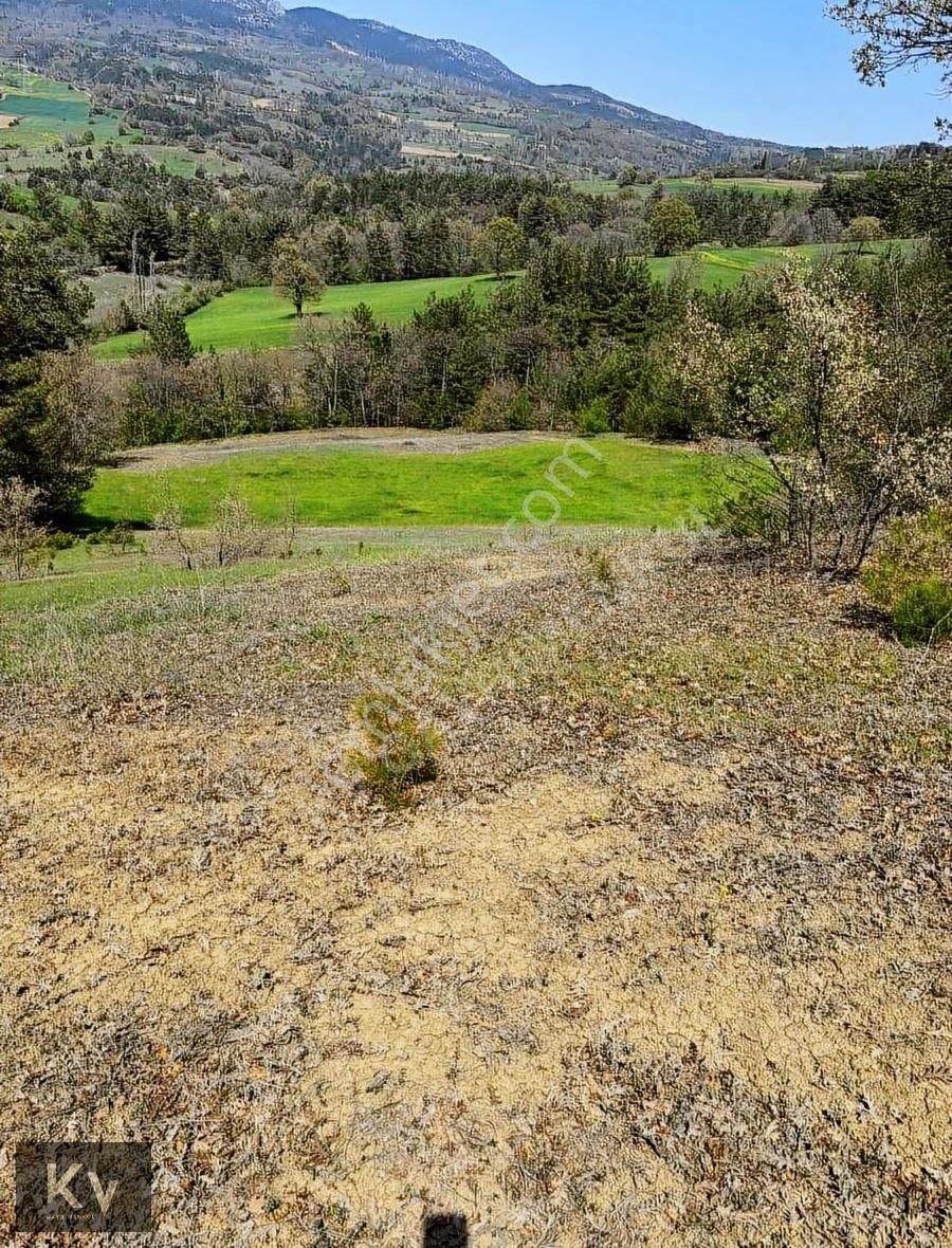 Kv Gayrimenkul'den Geyve Çay Mah. 35.798 M² Satılık Tarla - Görsel 14