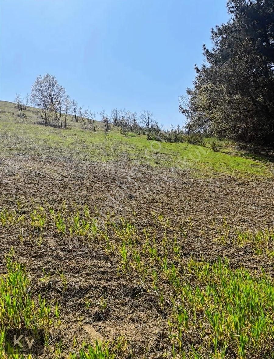 Kv Gayrimenkul'den Geyve Çay Mah. 35.798 M² Satılık Tarla - Görsel 16