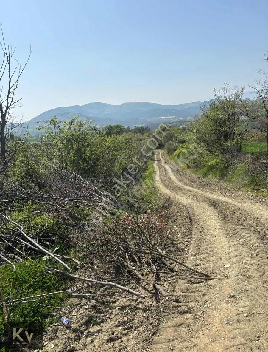 Kv Gayrimenkul'den Geyve Çay Mah. 35.798 M² Satılık Tarla - Görsel 12