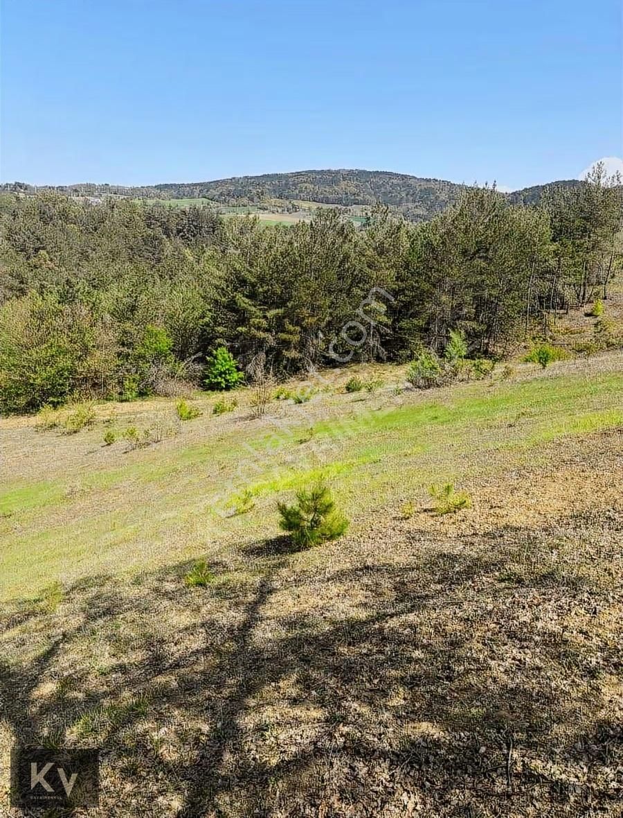 Kv Gayrimenkul'den Geyve Çay Mah. 35.798 M² Satılık Tarla - Görsel 15