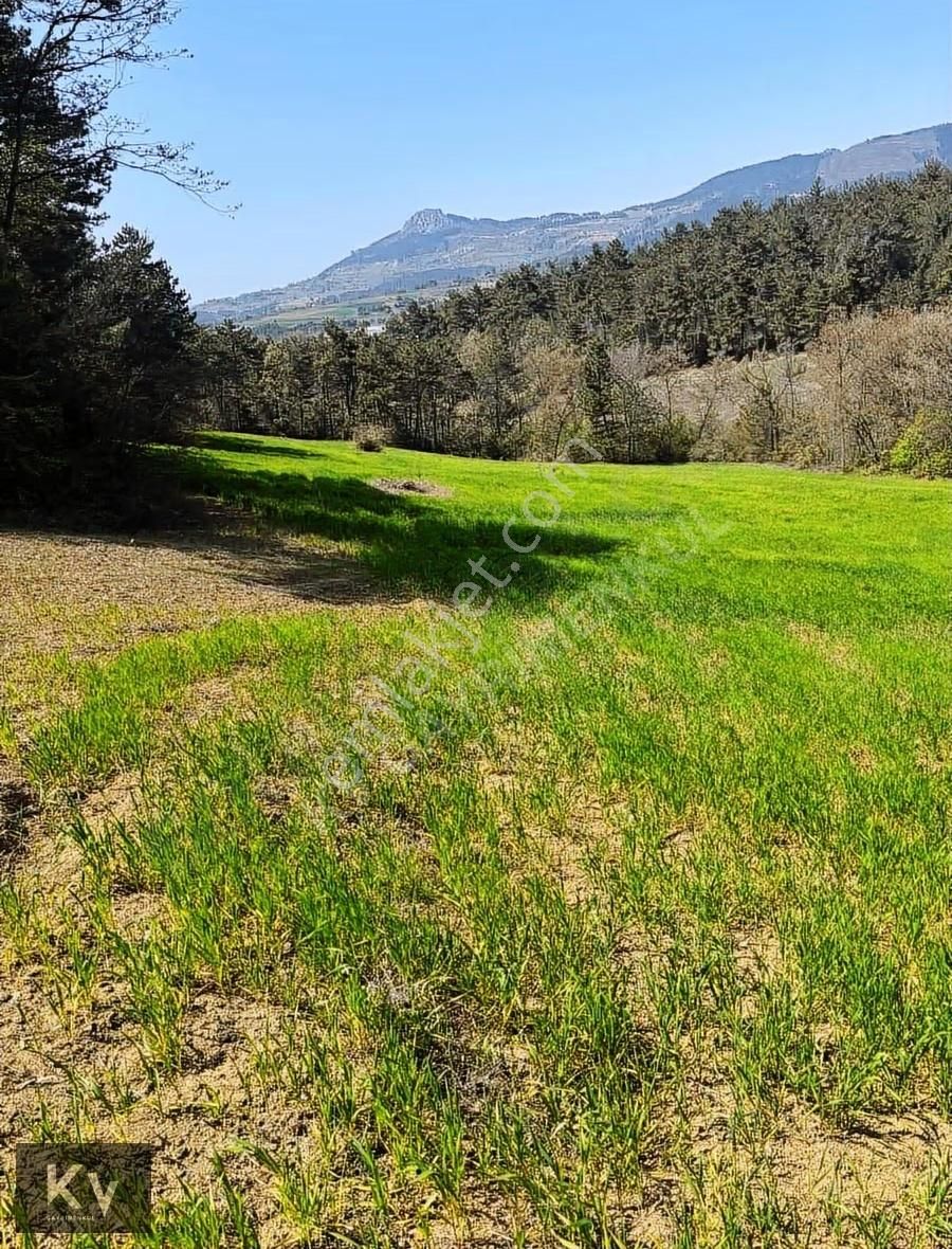 Kv Gayrimenkul'den Geyve Çay Mah. 35.798 M² Satılık Tarla - Görsel 19