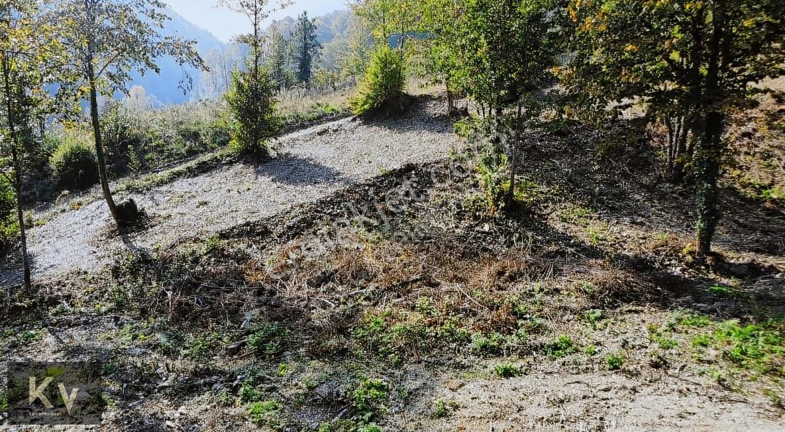 Kv Gayrimenkul'den Sapanca Memnuniye'de 2.032 M² Satılık Arazi - Görsel 8