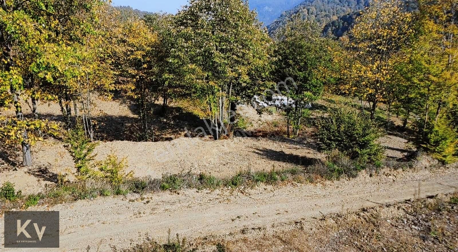 Kv Gayrimenkul'den Sapanca Memnuniye'de 2.032 M² Satılık Arazi - Görsel 9