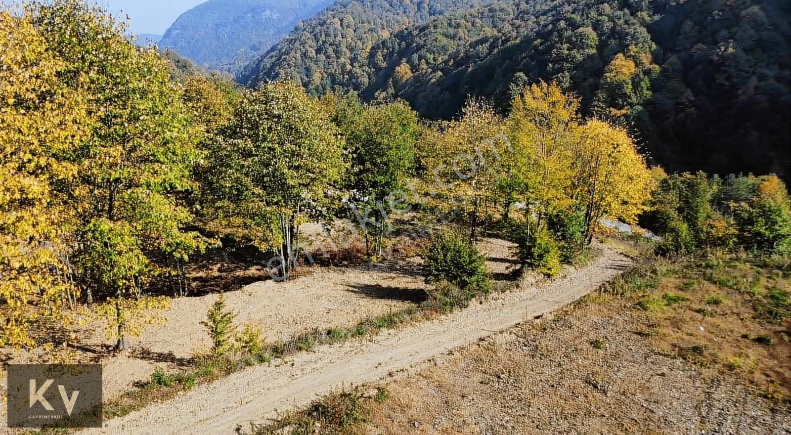 Kv Gayrimenkul'den Sapanca Memnuniye'de 2.032 M² Satılık Arazi - Görsel 6