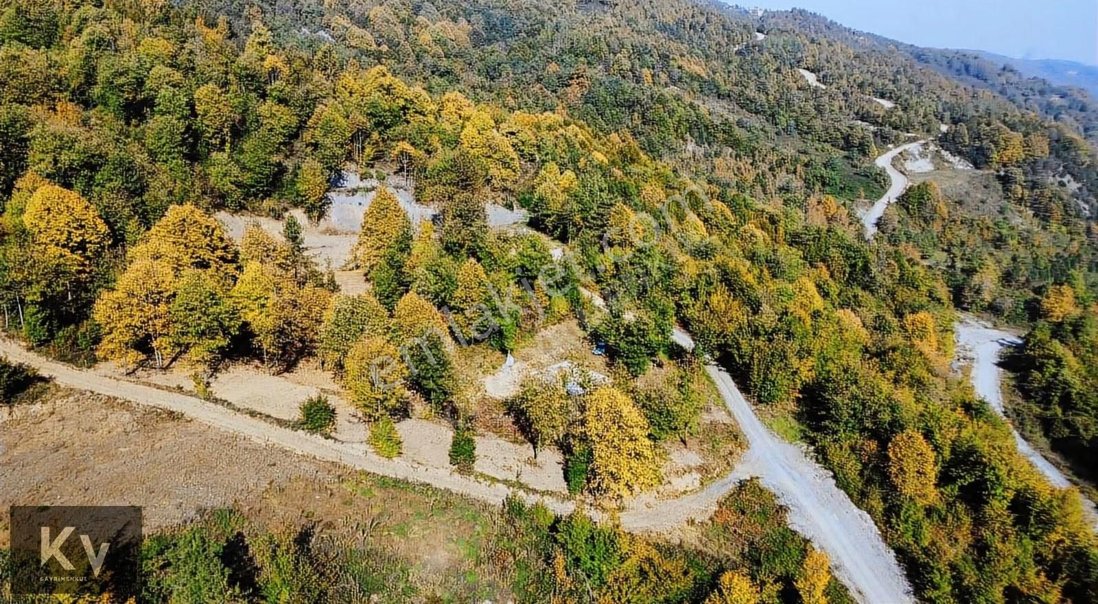 Kv Gayrimenkul'den Sapanca Memnuniye'de 2.032 M² Satılık Arazi