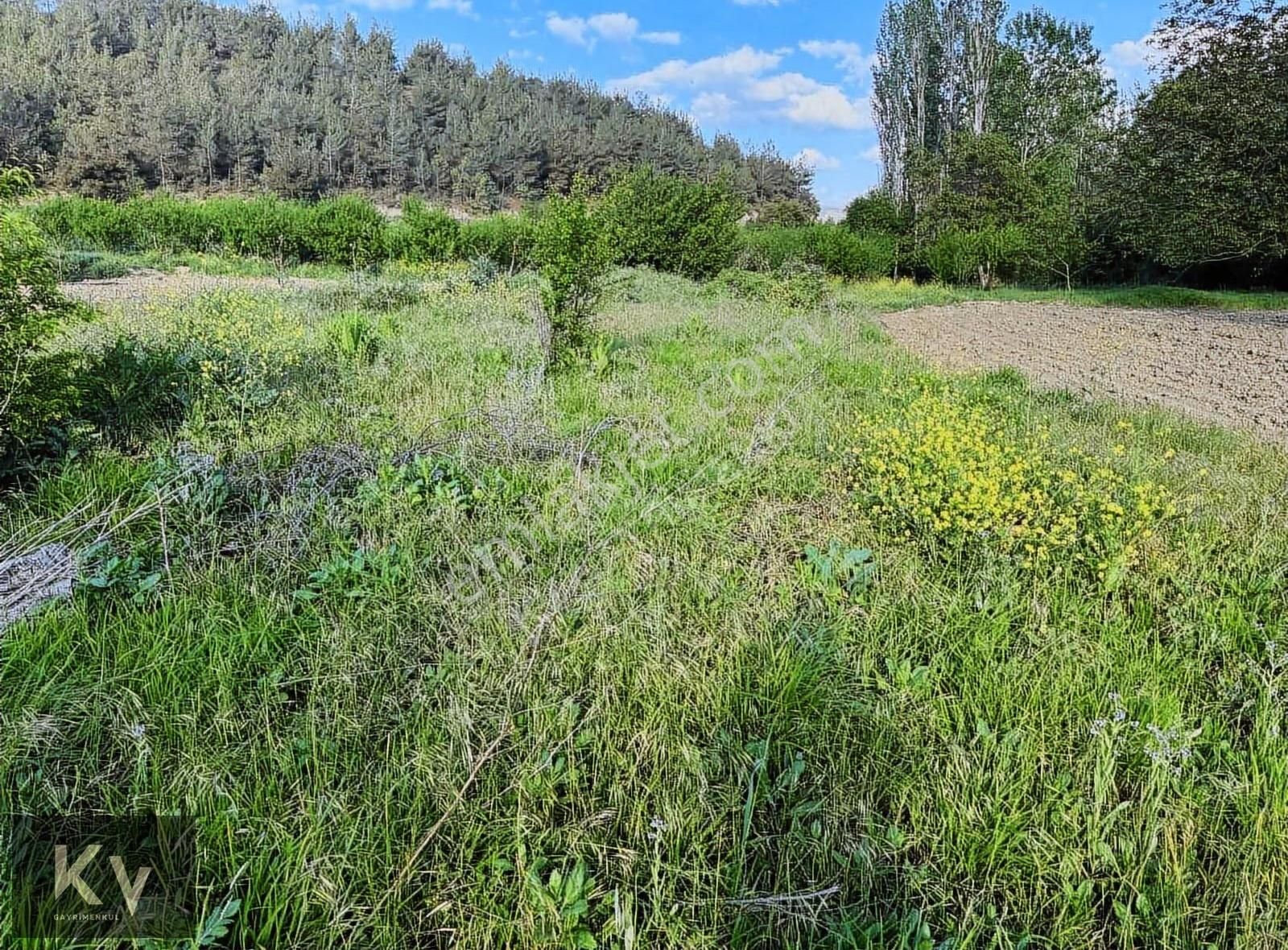 Kv Gayrimenkul'den Geyve Karacaören'de 581 M² Satılık Tarla