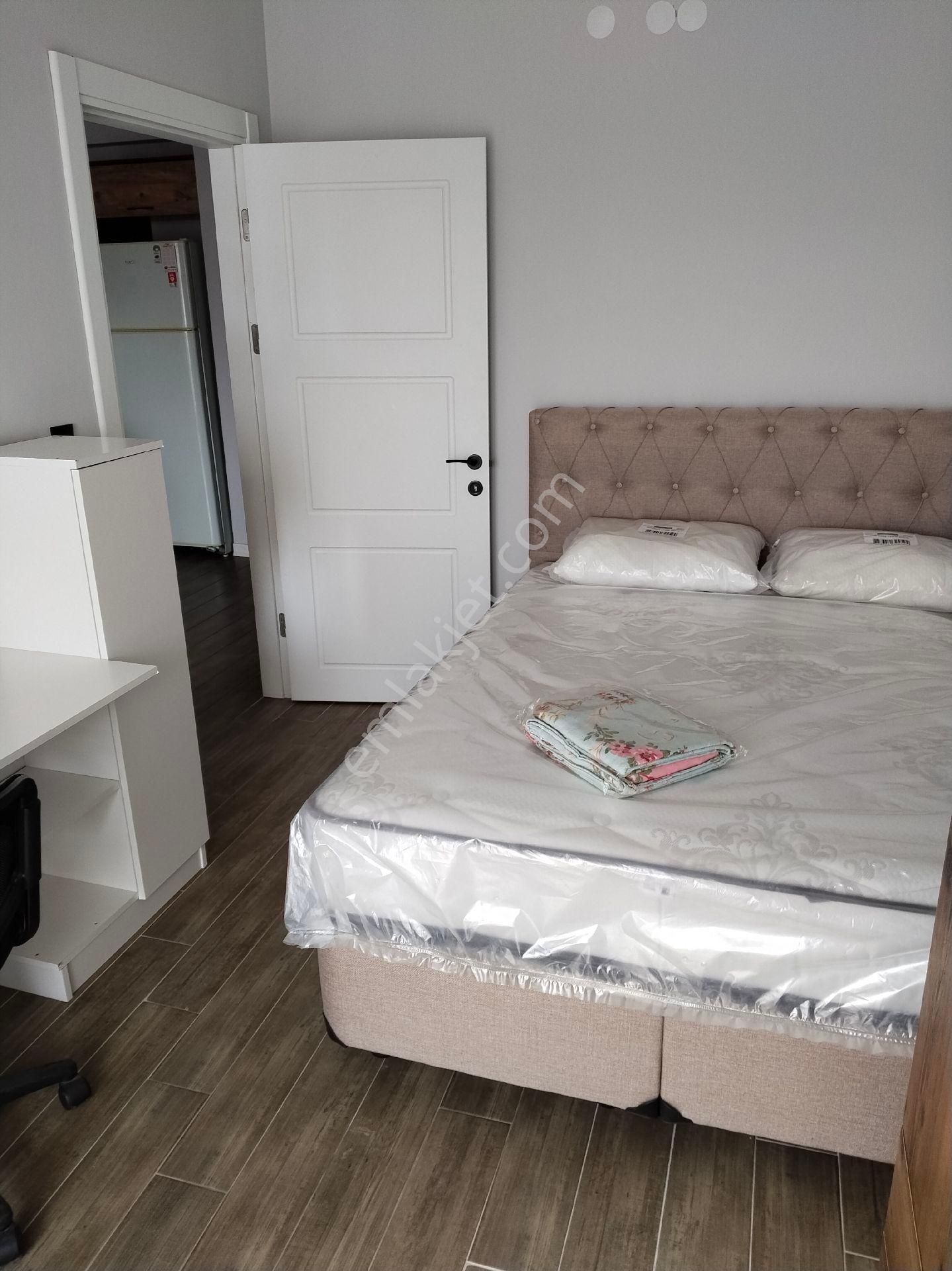 Sahibinden Eşyalı Hastane Ve Üniversiteye Yakın 1+1 Kiralık - Görsel 8