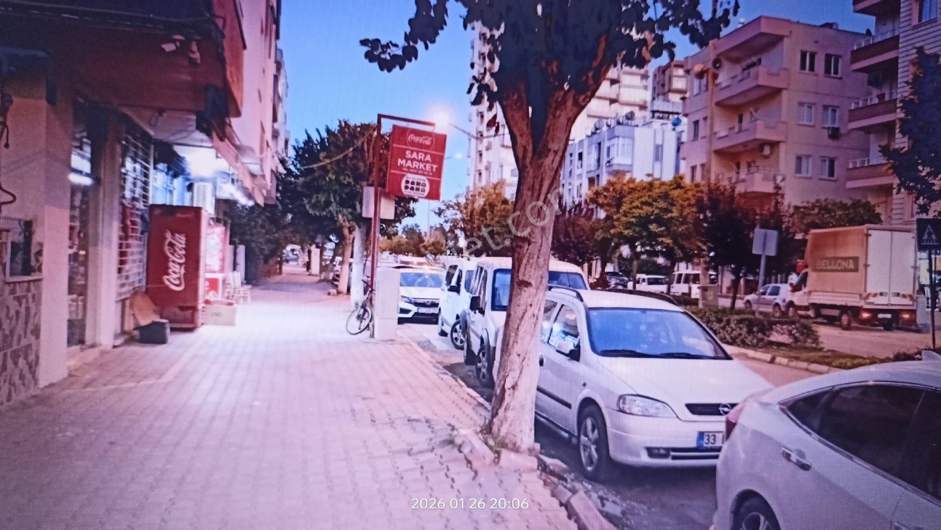 Denize Bir Adım Uzaklıkta - Görsel 5