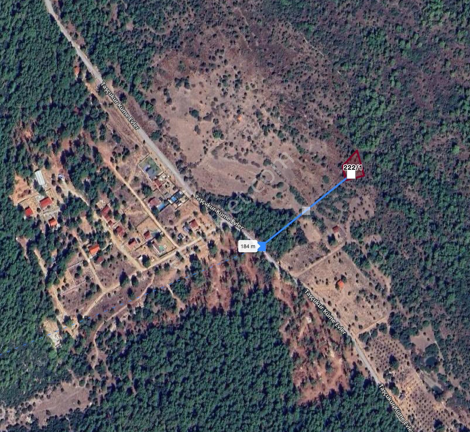 Urla Zeytinler'de 963 M2 Doğa İçinde Arsa - Görsel 3