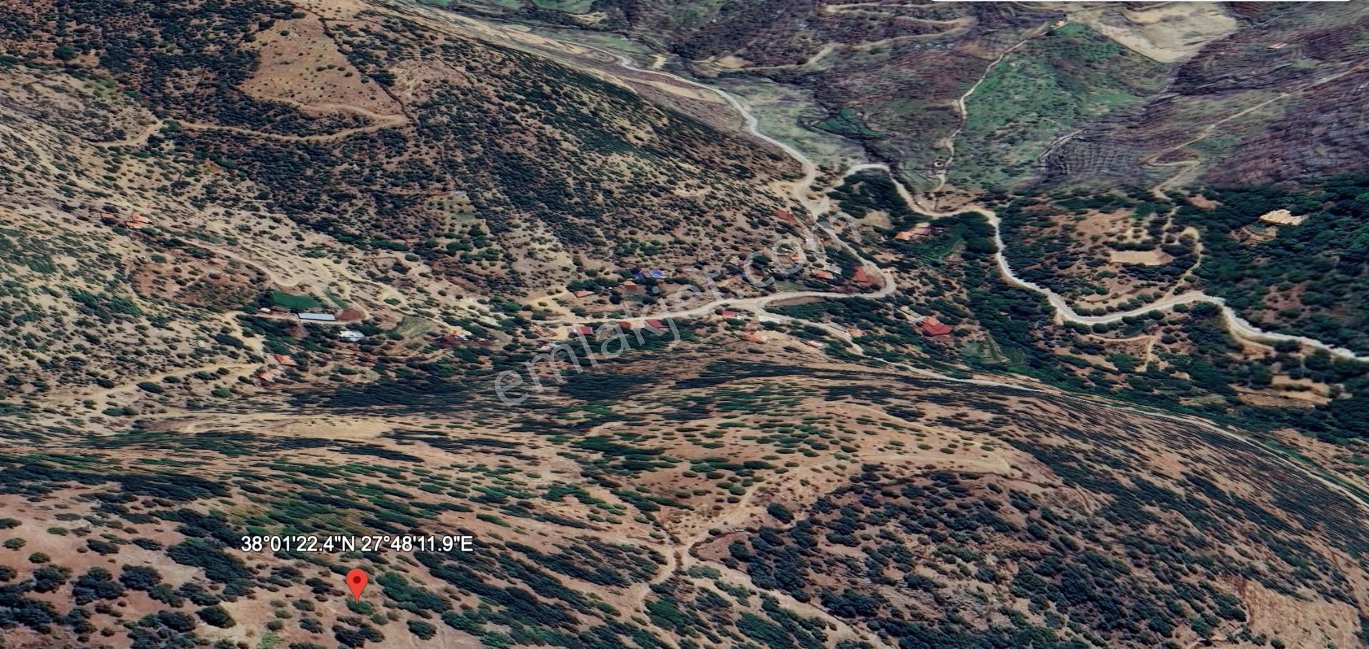 Tire Yamandere'de 3,806 M2 Yatırımlık Ceviz Bahçesi - Görsel 6