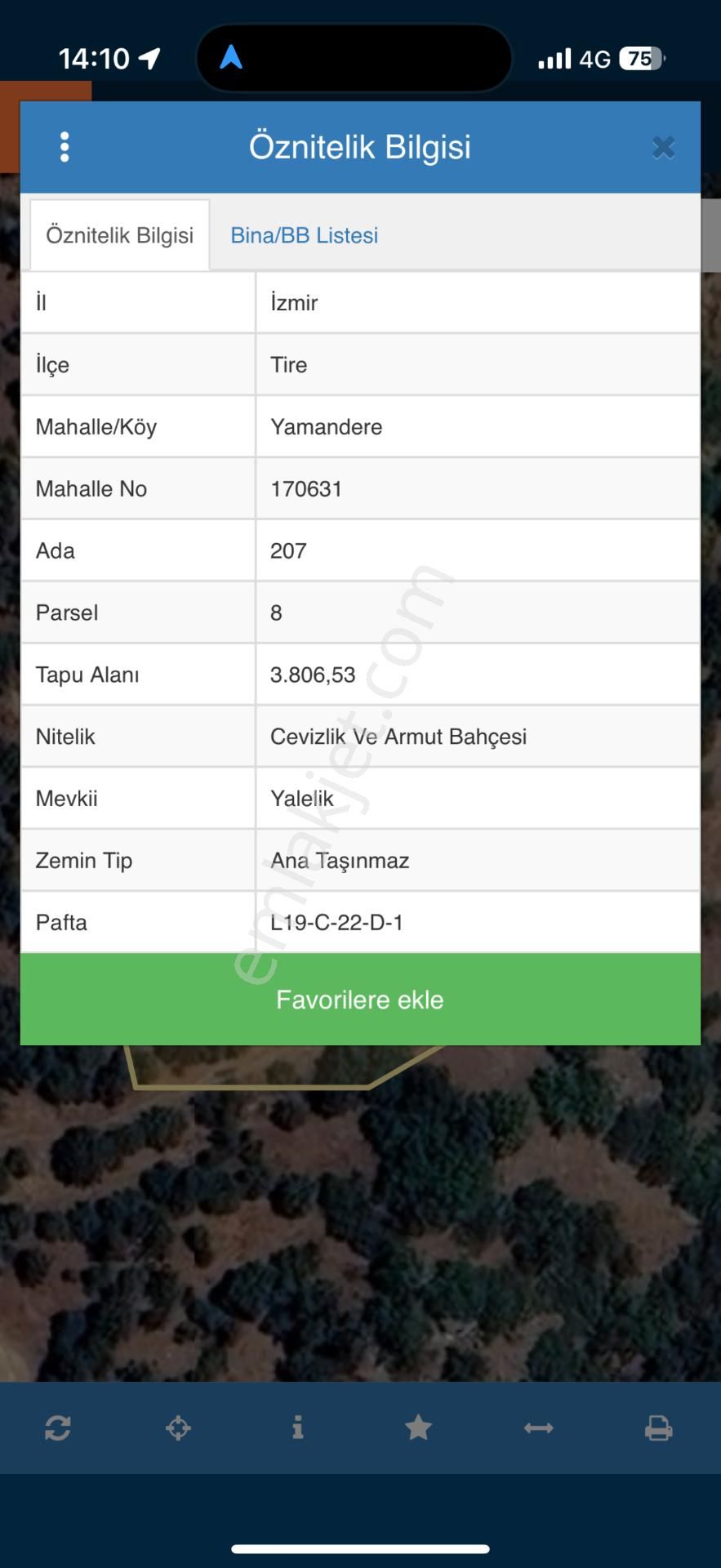 Tire Yamandere'de 3,806 M2 Yatırımlık Ceviz Bahçesi - Görsel 3