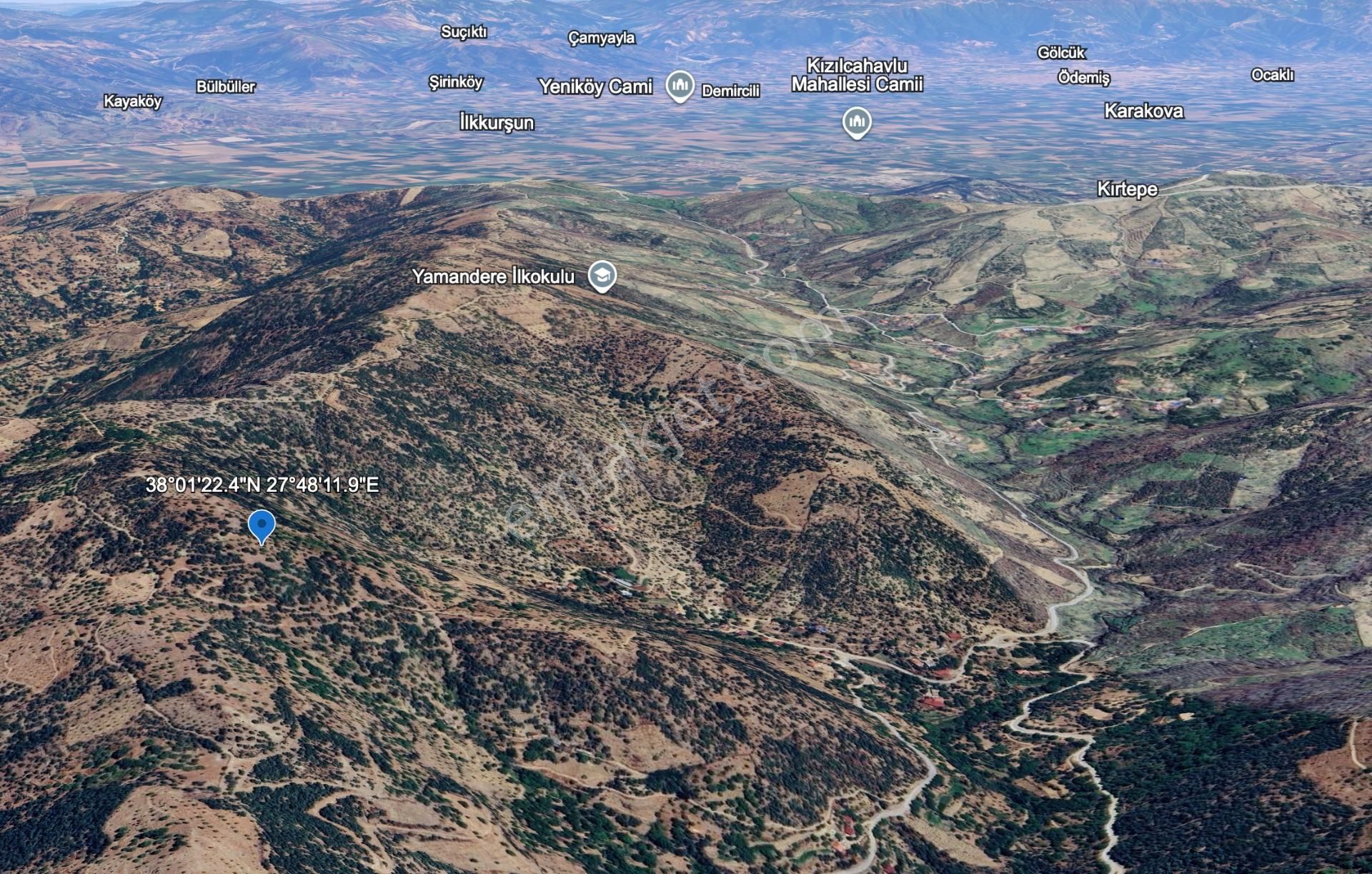 Tire Yamandere'de 3,806 M2 Yatırımlık Ceviz Bahçesi