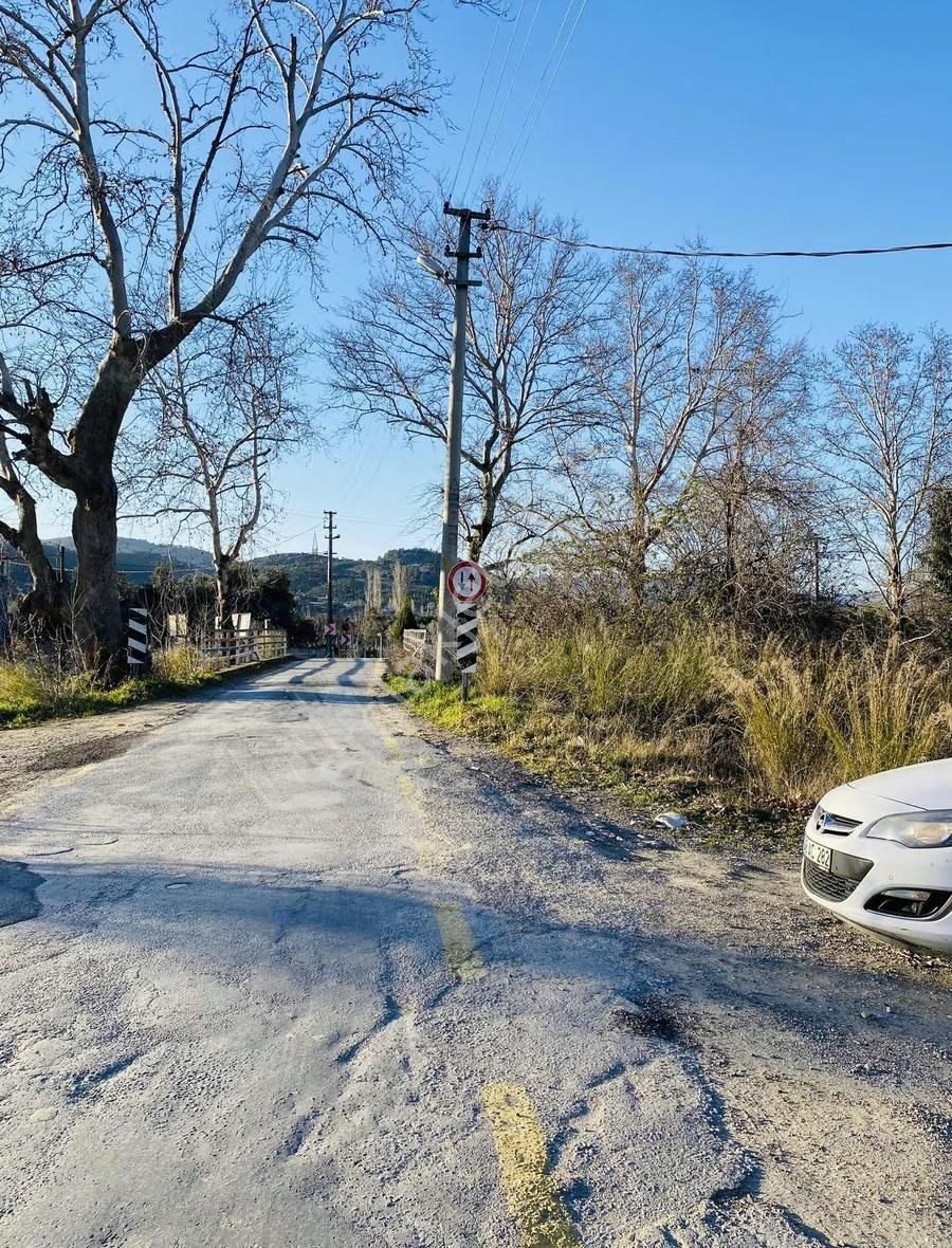 Bozüyük'te Yola "0" Cepheli Satılık Tarla - Görsel 2