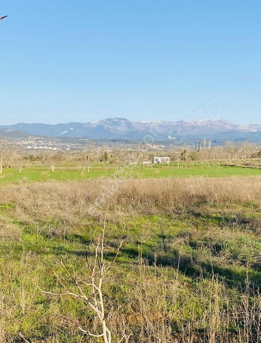 Bozüyük'te Yola "0" Cepheli Satılık Tarla - Görsel 12