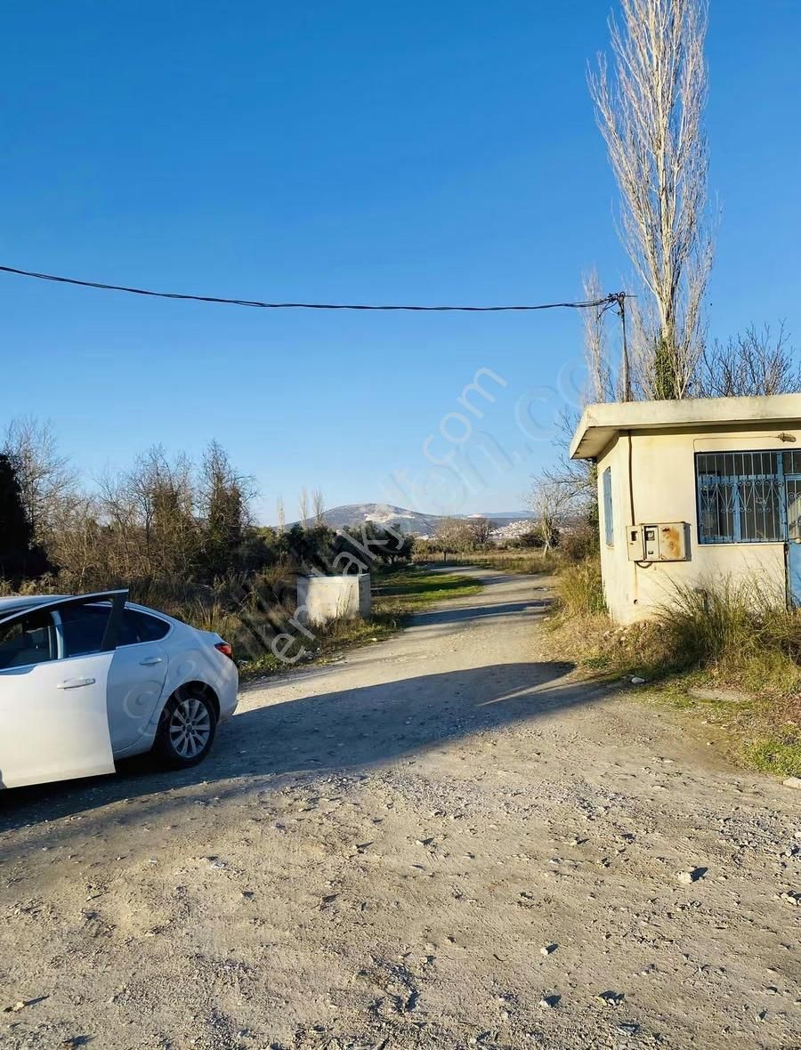 Bozüyük'te Yola "0" Cepheli Satılık Tarla - Görsel 13