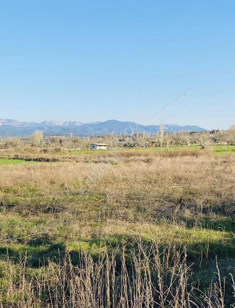 Bozüyük'te Yola "0" Cepheli Satılık Tarla - Görsel 11