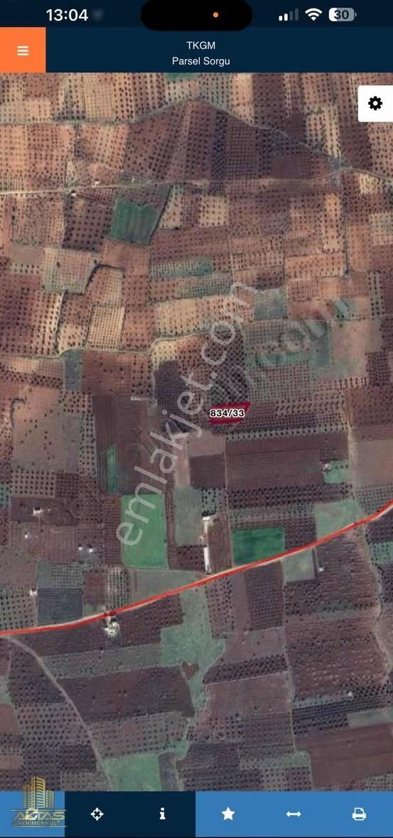 Kiliste İmara Yakın Bölgede Satılık Resmi Yol Üzeri Zeytinlik